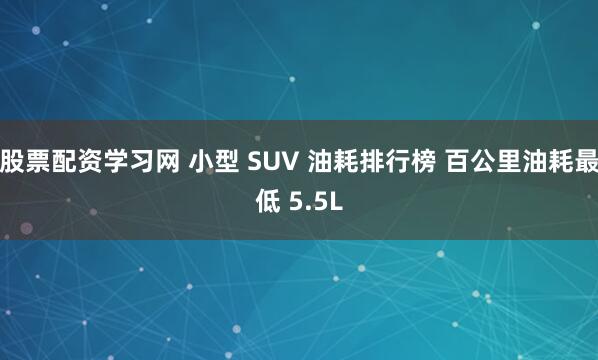 股票配资学习网 小型 SUV 油耗排行榜 百公里油耗最低 5.5L